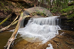 Waterfall in Ravine in Evergreen Forest