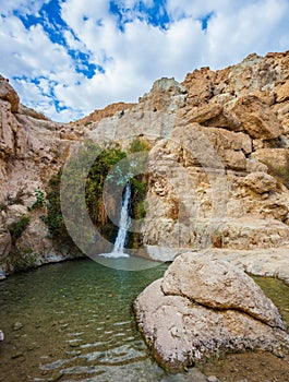 The waterfall in reserves Ein Gedi