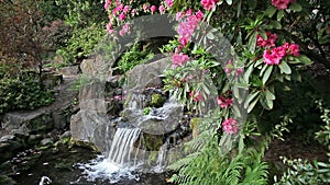 Waterfall with Rhododendron Flowers Blooming in Spring
