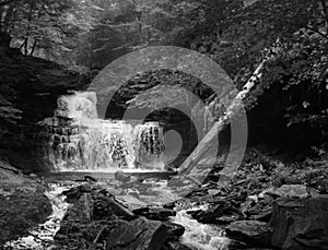 Waterfall at Rickets Glen