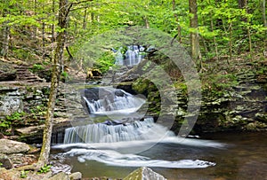 Waterfall in Ricketts Glen State Park Pennsylvania