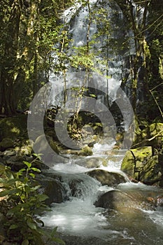 Waterfall at Rincon de la Vieja. photo