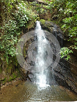 Waterfall in Rioja, San Martin, Peru photo