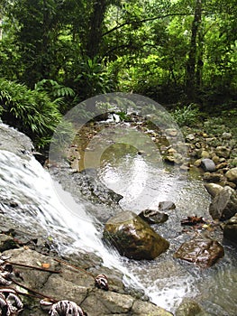 Waterfall and river in deep wood