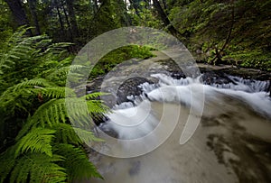 Waterfall on the river in the forest