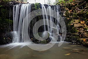 Waterfall on the river in the forest among ferns