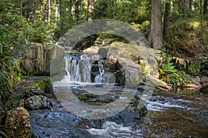 The waterfall on river in Harz, Germany