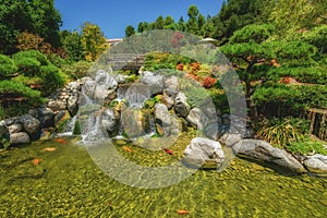 Waterfall and river with koi fish in traditional Japanese zen garden