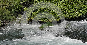 Waterfall, River, Krka Natural Park, Near Sibenik in Damaltia, Croatia