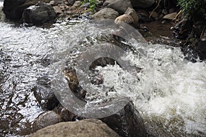 Waterfall river with rush water