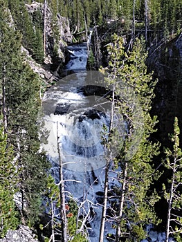 Waterfall river stream at yellowstone national park