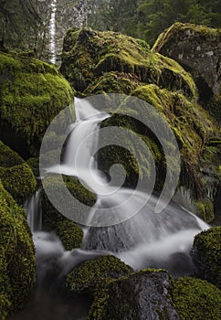 Waterfall and Riverflow