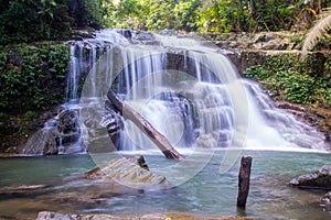 A waterfall with rock and 2 trees in the tropical forest, in Vietnam