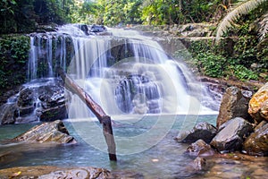 A waterfall with rock and dead tree in the tropical forest, in Vietnam