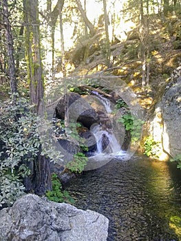 Waterfall Rocks creeks shadow Northfork