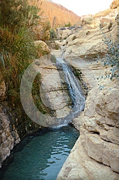 Waterfall in rocks Ein Gedi. Israel