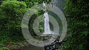 Waterfall with rocks among tropical jungle with green plants and trees and water falling down