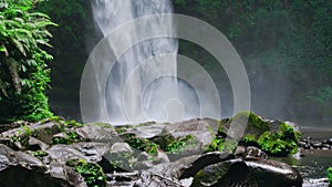 Waterfall with rocks among tropical jungle with green plants and trees and water falling down