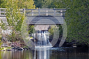 Waterfall At Rockwood Conservation Area photo