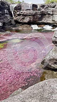 Waterfall Rocky Pools Tropical Cano Cristales