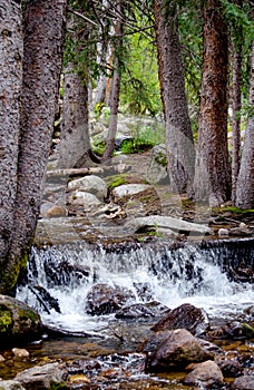 Waterfall and Rocky river bed