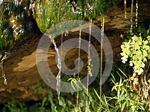 Waterfall in roque sur ceze, France