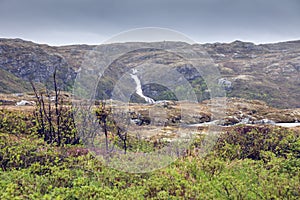 Waterfall in Rose Blanche area