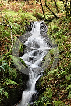 A Waterfall running through woodland