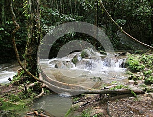 Waterfall at Sa Nang Manora Forest Park, Phang Nga Province, Thailand