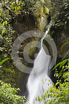 Waterfall Savegre River, San Gerardo de Dota, Costa Rica photo