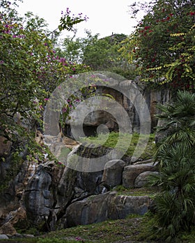 Waterfall Scenery Stock Photos.  Waterfall scenery beauty. Flower trees. Rocks. Foliage. Picture. Photo. Portrait. Image