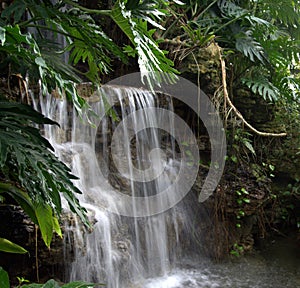 Waterfall secluded beauty