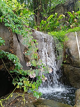 waterfall with shady trees and greenery