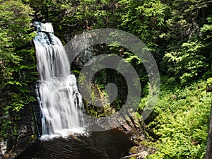 Waterfall shot from above at Bushkill Falls in Pennsylvania