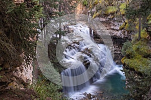 A  waterfall shot from above and through some foliage