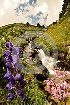 Waterfall with silk effect, surrounded by green meadows