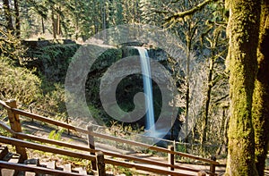 Waterfall in Silver Falls State Park of Oregon