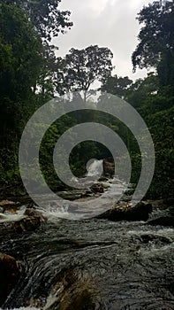 Waterfall in Sinharaja forest