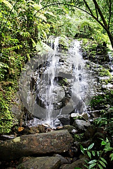 A waterfall in the Sinharaja forest in Sri Lanka