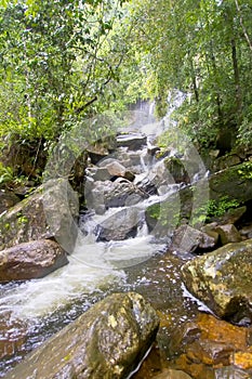 Waterfall, Sinharaja National Park Rain Forest, Sri Lanka