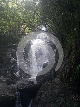 Waterfall in the Sinharajaya Rainforest, sri lanka