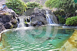 Waterfall sliding into a peaceful pool amidst a tropical rain forest