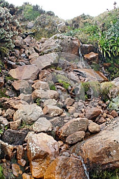 Waterfall on the slope of Cayambe Volcano