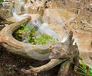 Waterfall in Slovak Paradise