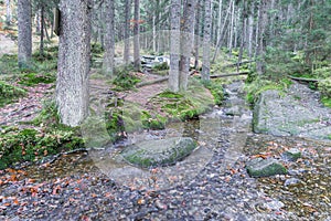 Waterfall at the small Arber lake, Bavaria, Germany