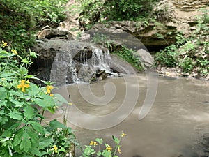 Waterfall in a small stream in a green forest. Green plants. Yellow flowers. Small pebbles