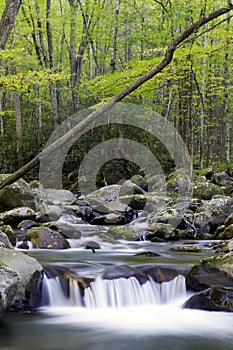 A Waterfall in Smoky Mountain National Park