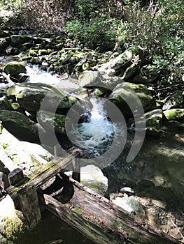 Great Smoky mtn park photo