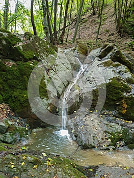 Waterfall stream in Cheile Borzesti, Cluj, Romania