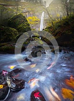 Waterfall and stream with fluxing autumn leaves